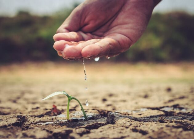 THE SOWING AND REAPING PRINCIPLE